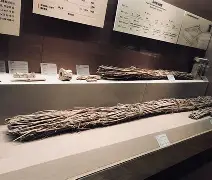 佥沯_r奁W]6嗕鰟q?鏳殹叜?J暯{